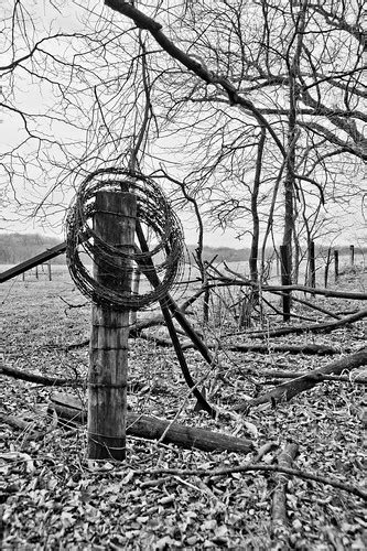 Fence Post & Barbed Wire | Several strands of barbed wire le… | Flickr