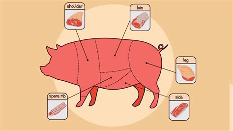 12 Common Pork Cuts and the Best Way to Cook with Each of Them