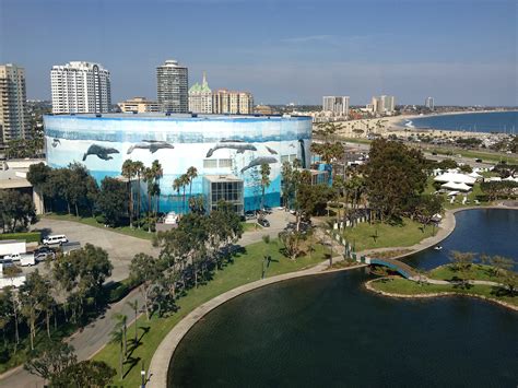 The Beach : long beach aquarium