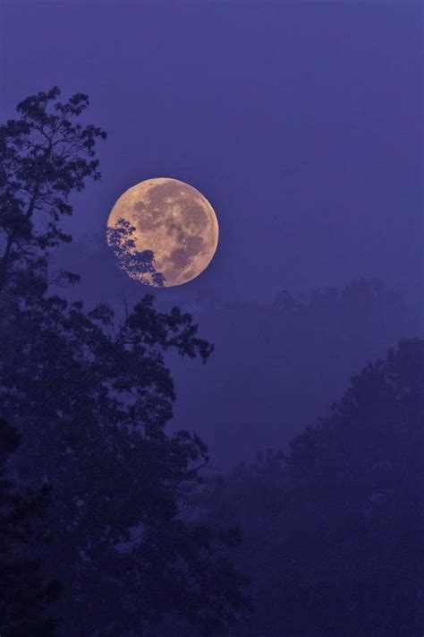 Blue moon rising art print by rob travis blue moon rising moon ...