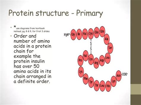 PPT - Protein structure - Primary PowerPoint Presentation, free download - ID:1877187