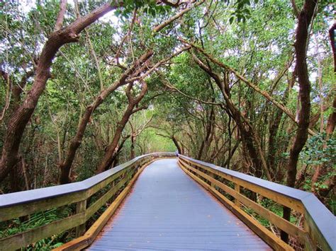 Clam Pass Beach – Naples, Florida - Atlas Obscura