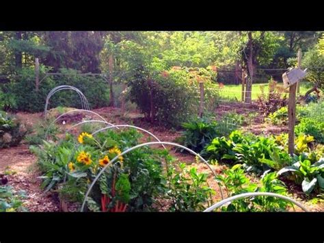 .1 acre garden - huge production! : SelfSufficiency