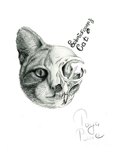 Schrodinger's Cat Drawing by Tanya Bure