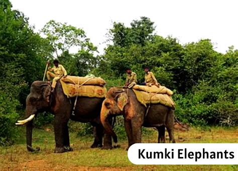 Kumki Elephants - PWOnlyIAS