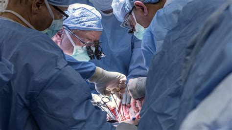 Uterine transplant raises hopes — and thorny ethical questions | STAT