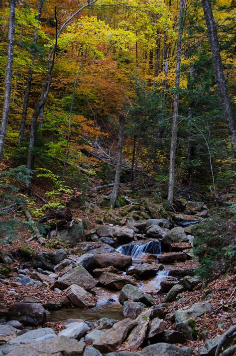 White Mountains Fall Foliage 251 by FairieGoodMother on DeviantArt