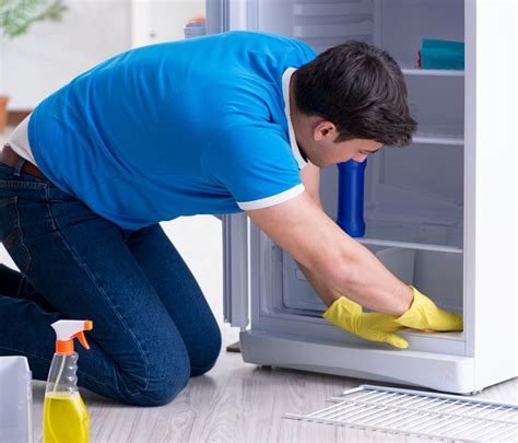 How to clean your refrigerator properly | Domex Ltd