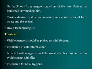 Miscellaneous disorders of nasal cavity | PPT