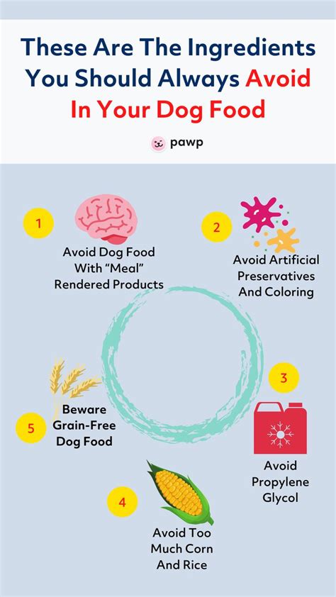 These Are The Ingredients You Should Always Avoid In Your Dog Food in 2021 | Dog food recipes ...