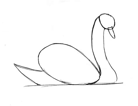 Swan Drawing Step by Step | Art Starts