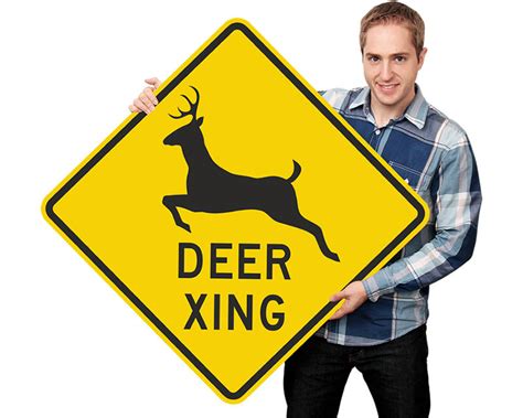 Deer Crossing Signs