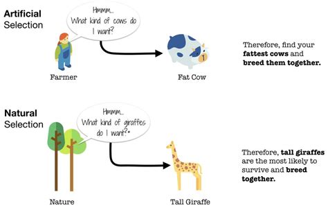 Evolution and Evolutionary Psychology – Evolutionary Psychology ...