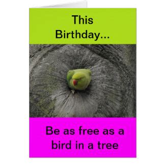 Funny Animal Birthday Cards, Photocards, Invitations & More