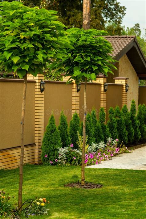 Evergreen Bushes and Shrubs in Landscape Design Stock Photo - Image of cypress, boxwood: 270398024