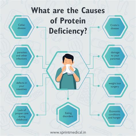 What are the Causes of Protein Deficiency? Protein Rich Diet, Protein Diets, Whey Protein ...