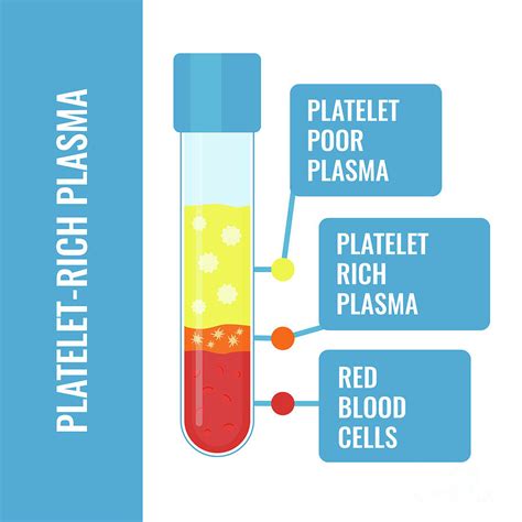 Blood Plasma Composition