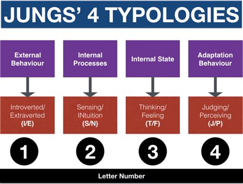 Myers Briggs Personality Types and Jung’s four typologies