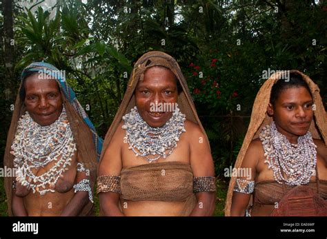 Tribal women wearing traditional dresses, Highlands Region, Papua New ...