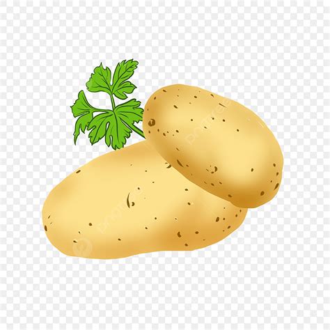 Potatoe Clipart Transparent PNG Hd, Potato Potato Clipart Potato Leaves ...