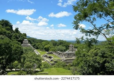 Building Mexico National Park Palenque Stock Photo 2274417175 | Shutterstock