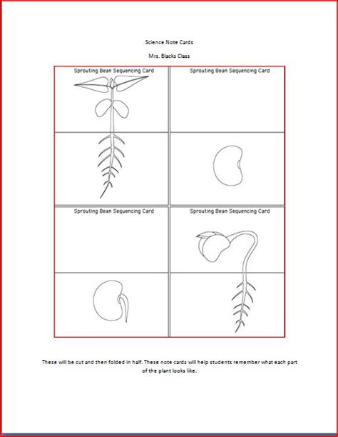 Mr.Black's 3rd Grade Science Class: Worksheets