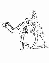 Camel Coloring Pages Free Printable PDF sketch template