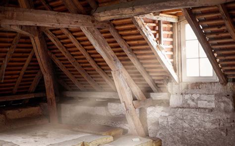 Something you need to know about your attic - X-treme Inspections Ltd.