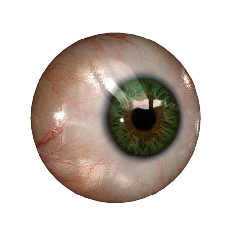 Eyeball PNG Free Download