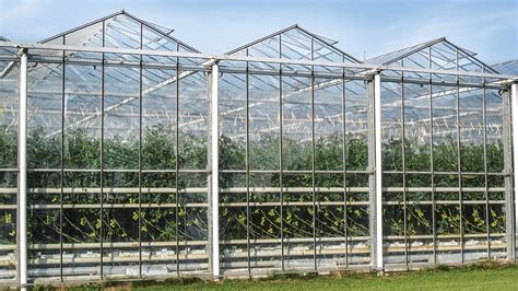 How To Fine-Tune Your Greenhouse Cooling And Ventilation Systems - Greenhouse Grower