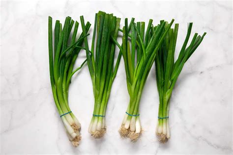 The Best Way to Store Green Onions