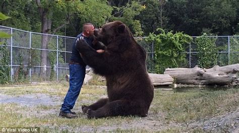 Now that’s a proper bear hug! Tactile animal can’t stop cuddling his ...