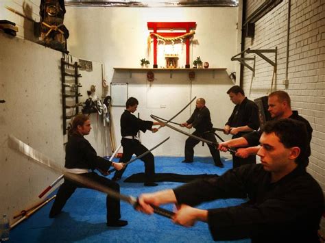 Why You Should Learn Bujinkan Ninjutsu | Martial arts, Martial arts forms, Martial