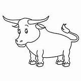 10 Cute Bull Coloring Pages For Your Toddler sketch template