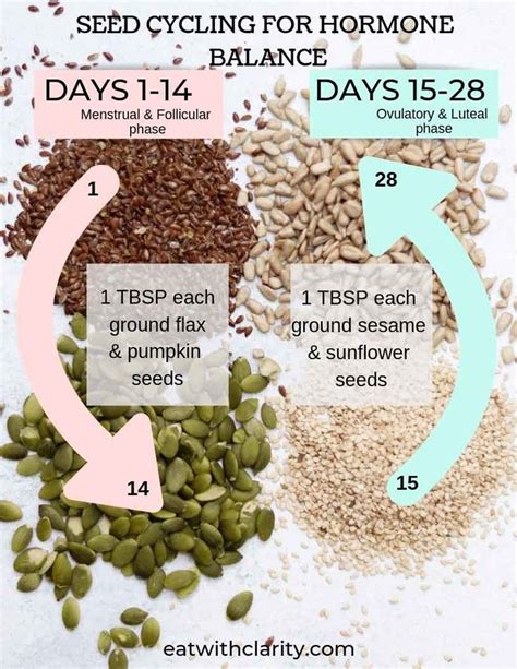 Seed Cycling Energy Bites | Recipe | Seed cycling, Seeds, Hormone balancing