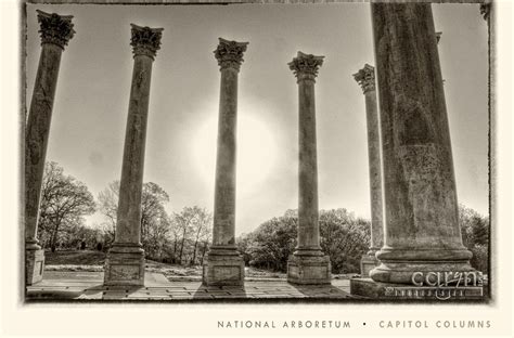 US Capitol Columns at the National Arboretum | Caryn Esplin