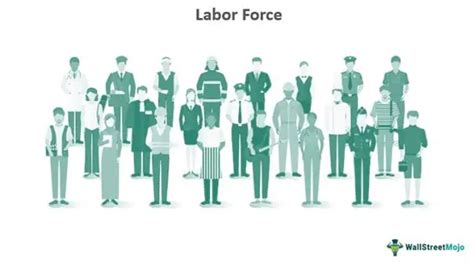 Labor Force - Definition, Formula, Example, Calculations