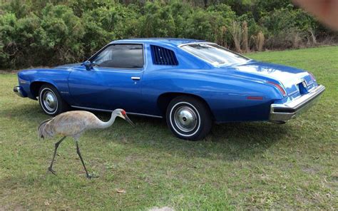 Rare Bird: 1974 Pontiac LeMans Sport Coupe | Barn Finds