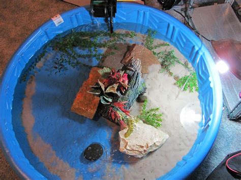 How to Set Up an Indoor Turtle Pool | Turtle habitat, Turtle setup, Turtle tank