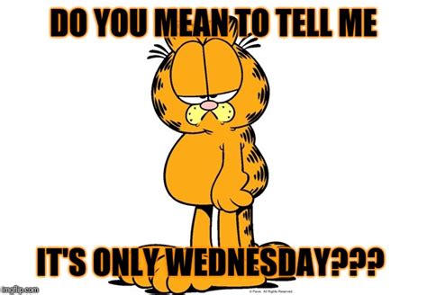 Grumpy Garfield - Imgflip