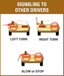 Ask a Cop: Do We Still Have to Know How to Do Hand Signals on a Driving ...