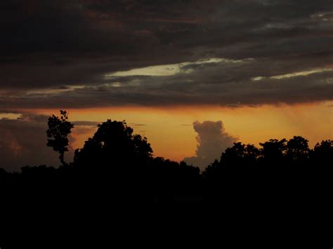 Raigarh Photo by saurabh nande | 6:37 pm 14 Jul 2011