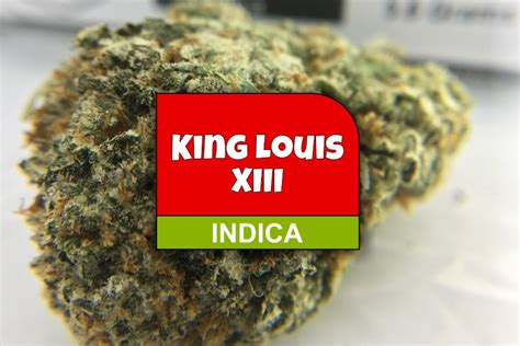 King Louis XIII Strain Review and Ratings - The Chronic Beaver