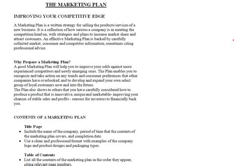 Download 15 BEST Marketing Plan Templates in MS WORD - Word Excel Samples