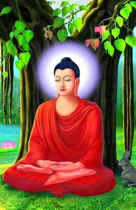 Karuna sagar tim | Buddha image, Buddha artwork, Gautam buddha image