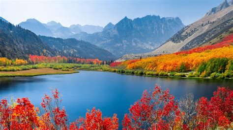 Autumn trees Wallpaper 4K, Lake, Mountain range, Daytime