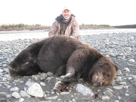 Guided Alaska Grizzly Bear Hunts