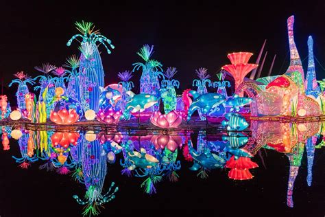 Dubai Garden Glow - Here's Why And When To Visit!