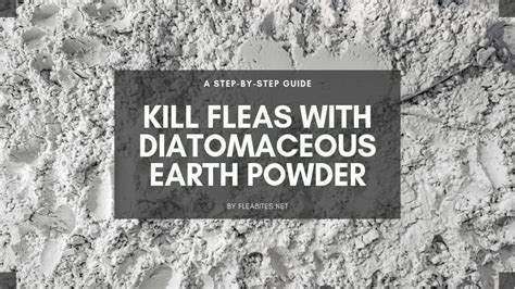 Kill Fleas with Diatomaceous Earth Powder - FLEABITES