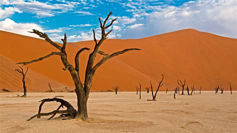 Le Parc National de Namib-Naukluft dans le Sud Ouest de la Namibie